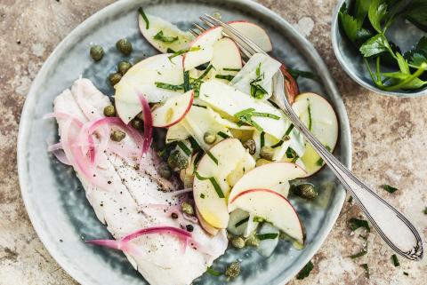 Quick-pickled trout with kohlrabi salad