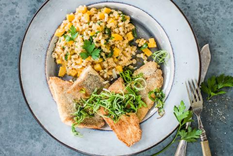 Fried trout on barley risotto