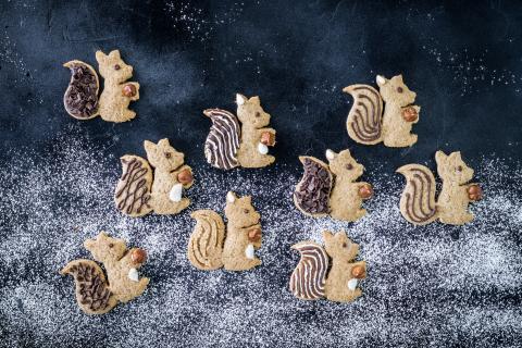 Squirrel biscuits