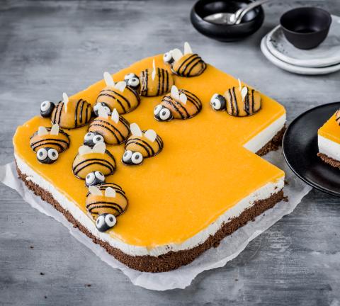 Bee Themed Cake (Easy Bee-utiful Beginner Recipe)