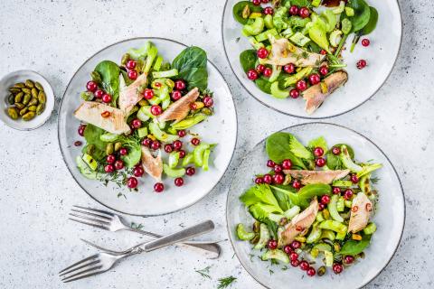 Salad with redcurrants and trout
