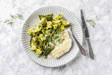 Pike-perch fillet with lemon dressing