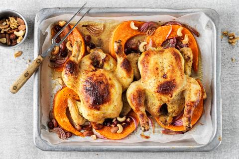 Chicken on a bed of squash, nuts and vegetables