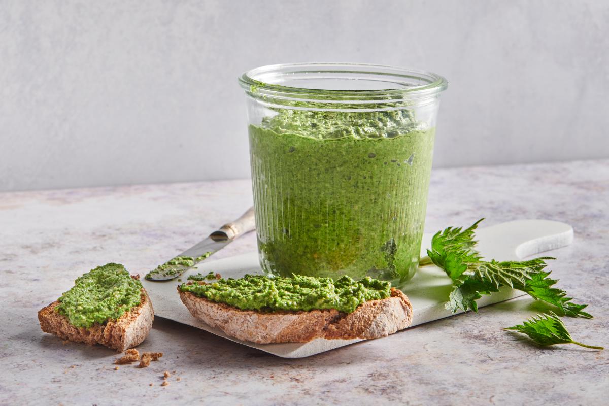 Nettle pesto - Recipes | fooby.ch