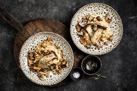 Millet risotto with fried mushrooms