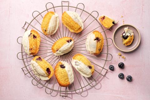 Blueberry and chocolate madeleines