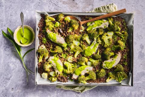 Lentil and chicken salad with wild garlic sauce