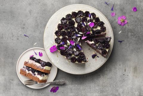 Brombeer-Mascarpone-Torte