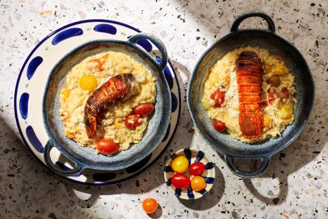 Tomato risotto with lobster