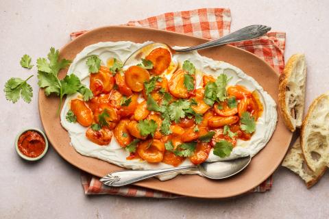 Labneh mit Harissa-Aprikosen