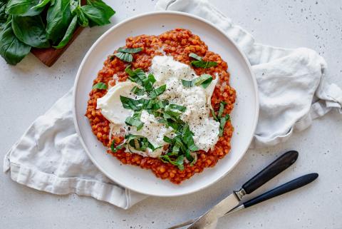 Burrata mit Linsen