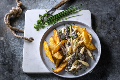 Spargelspitzen-Ragout mit Morcheln