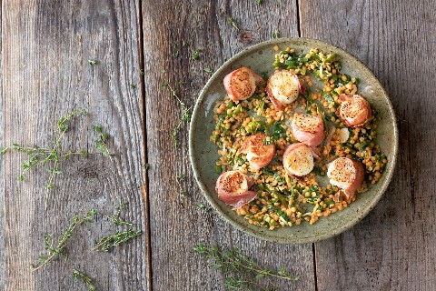 Jakobsnüsse auf rotem Linsensalat