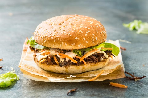 Pulled beef burger