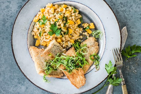 Fried trout on barley risotto