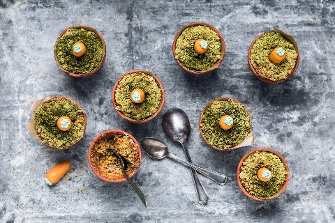 Mini-cakes aux carottes en pots de fleurs