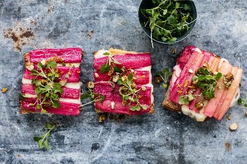 Rhabarber-Crostini
