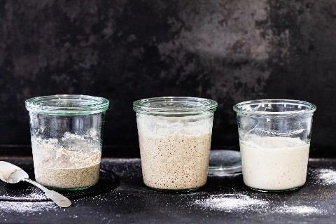 Starter pour levain