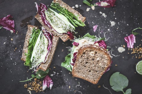Grünes Picknick-Sandwich