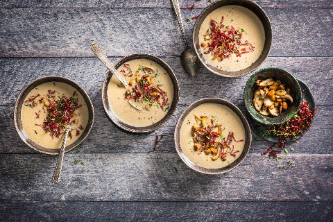 Cream of mushroom soup