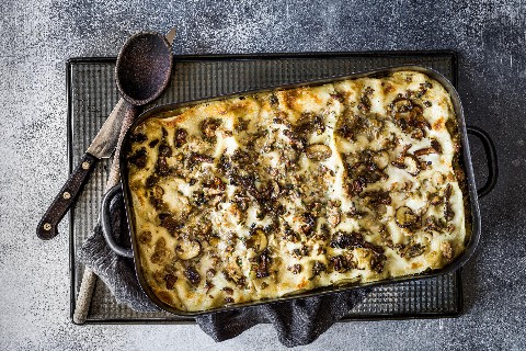 Lasagnes forestières