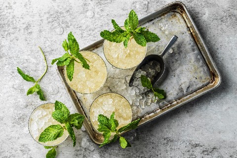 Mocktail Mint Julep