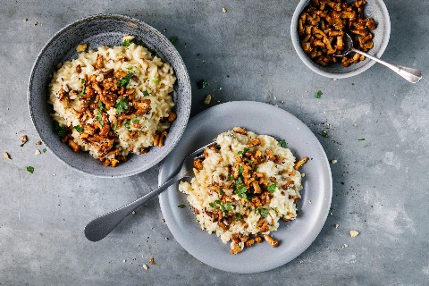 Chanterelle risotto