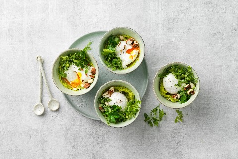 Poached egg on pea puree