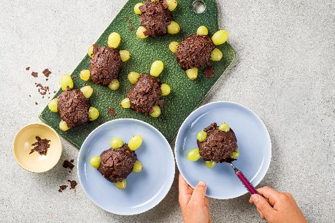 Kiwi-Trauben-Schildkrötli