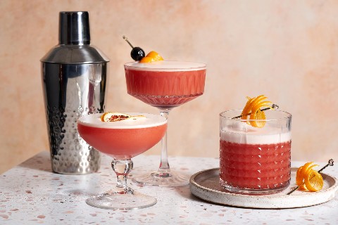 Negroni sour