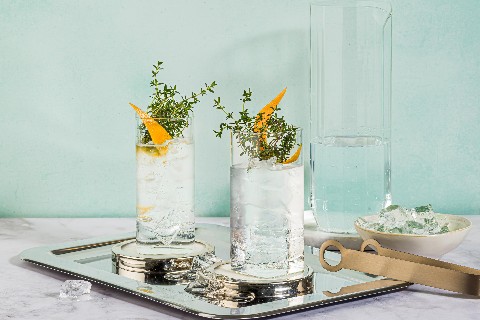Gin-tonic
