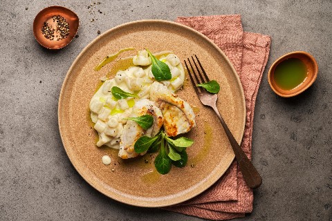 Seeteufel mit Schwarzwurzeln