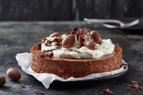 Chocolate mousse torte